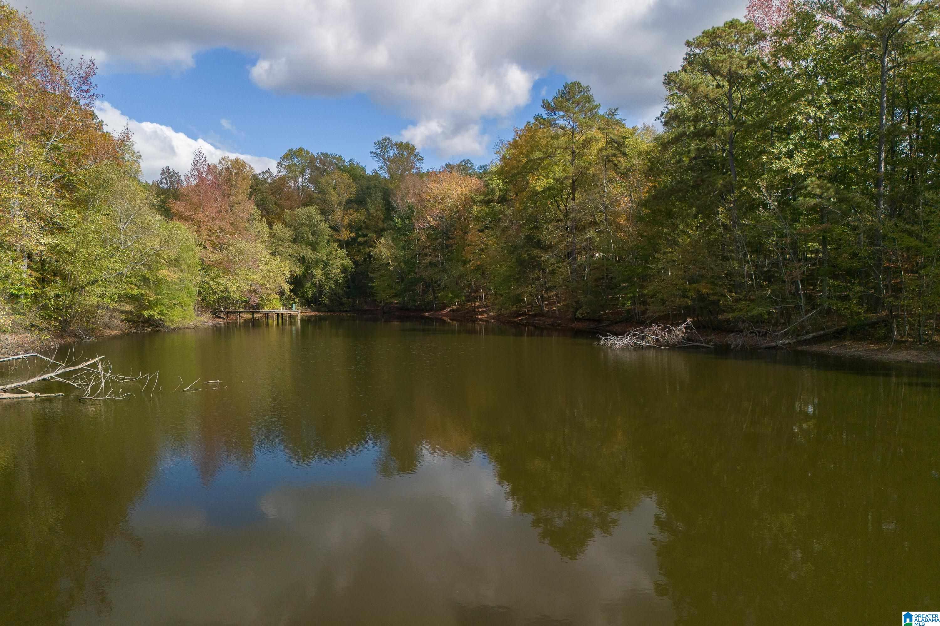 356 Sunset Ridge Bessemer, AL 35022 - Photo 58 of 75