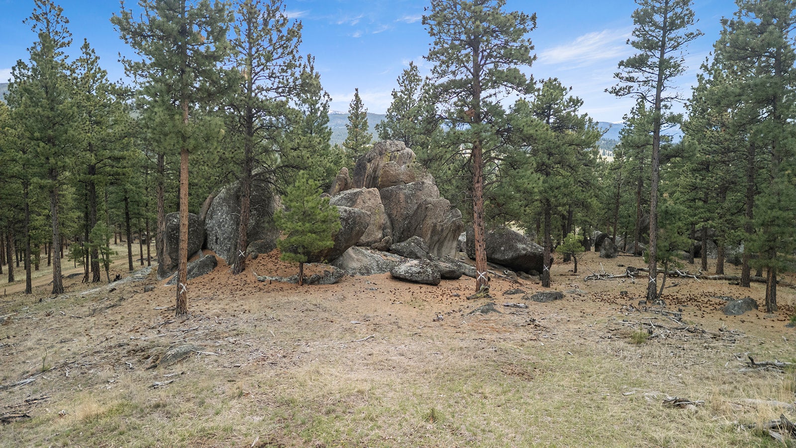 15 Old Abe Road Clancy, MT 59634 - Photo 1 of 32 Gallery Image 1