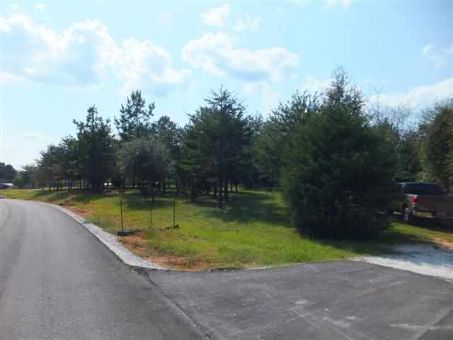6.01 Acres On Argo Road Seneca, SC 29678 - Photo 1 of 7 Gallery Image 1
