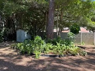 a view of a garden with plants