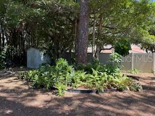 421 Riviera Street Venice, FL 34285 - Photo 25 of 31 a view of a garden with plants