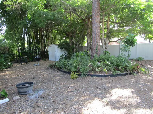 a view of a plants and trees