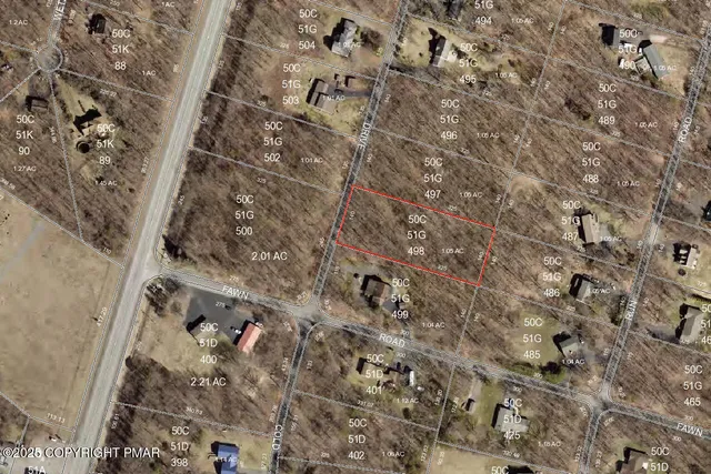 a view of a lush green forest with lawn chairs