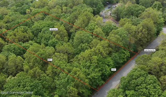 a view of a forest with trees