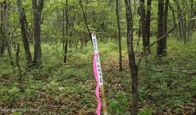 a view of outdoor space and trees all around