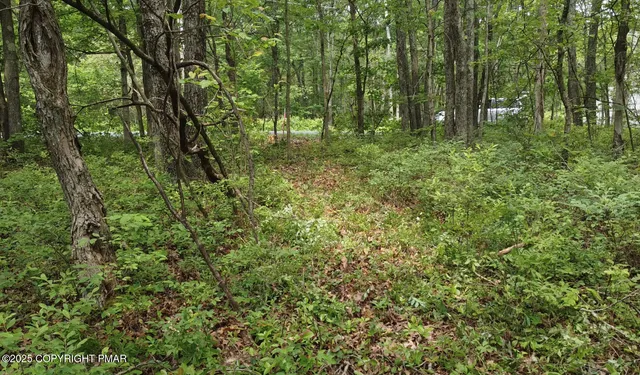 a view of white and white wall