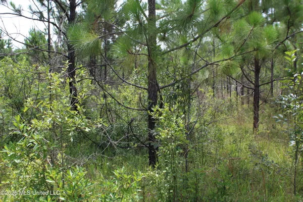 $72,000 | Agricola Latonia Road, Lucedale, MS 39452