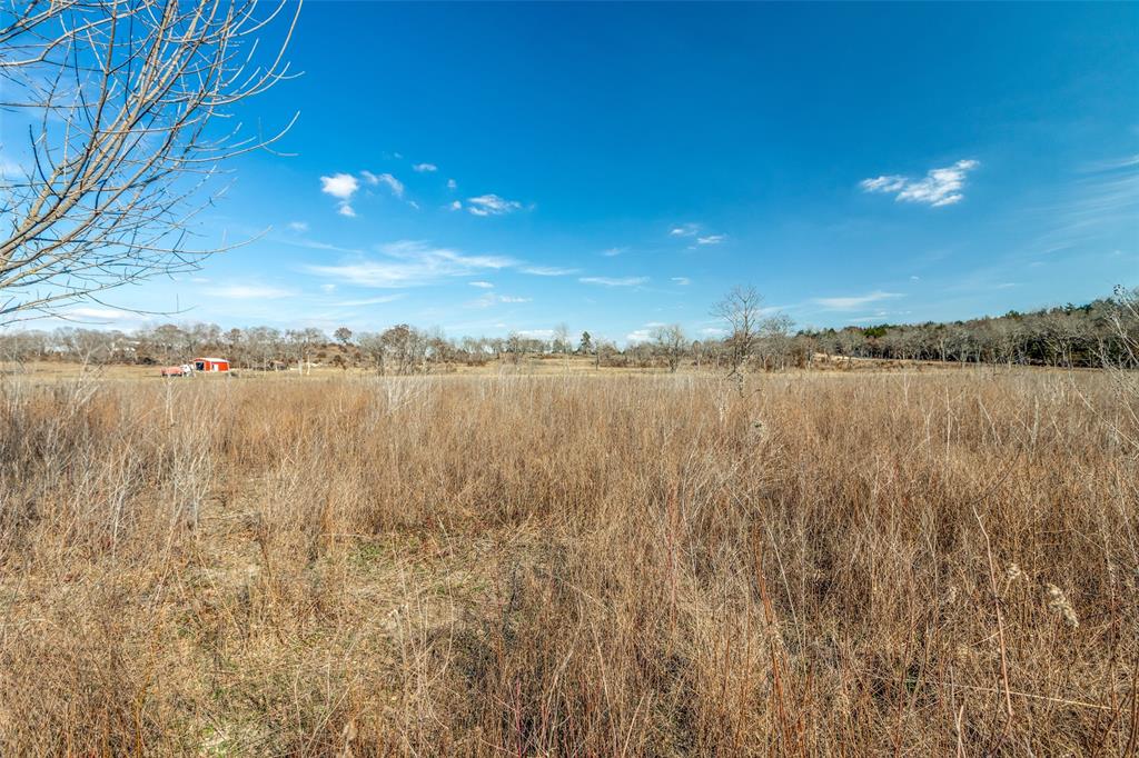 2023 Joe Davis Road Whitewright, TX 75491 - Photo 10 of 16