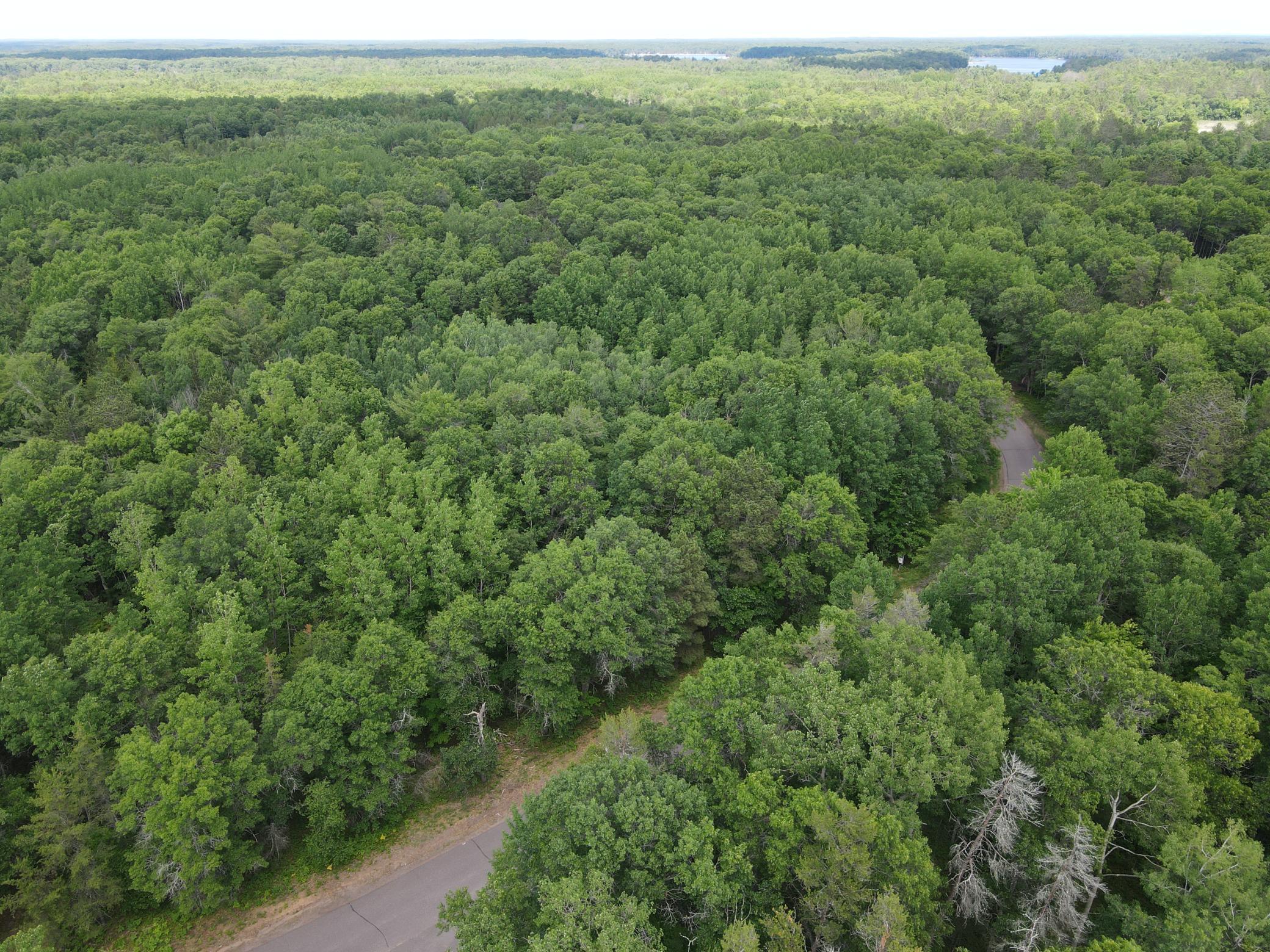 Lot 15 Loon Lake Road Danbury, WI 54830 - Photo 2 of 20