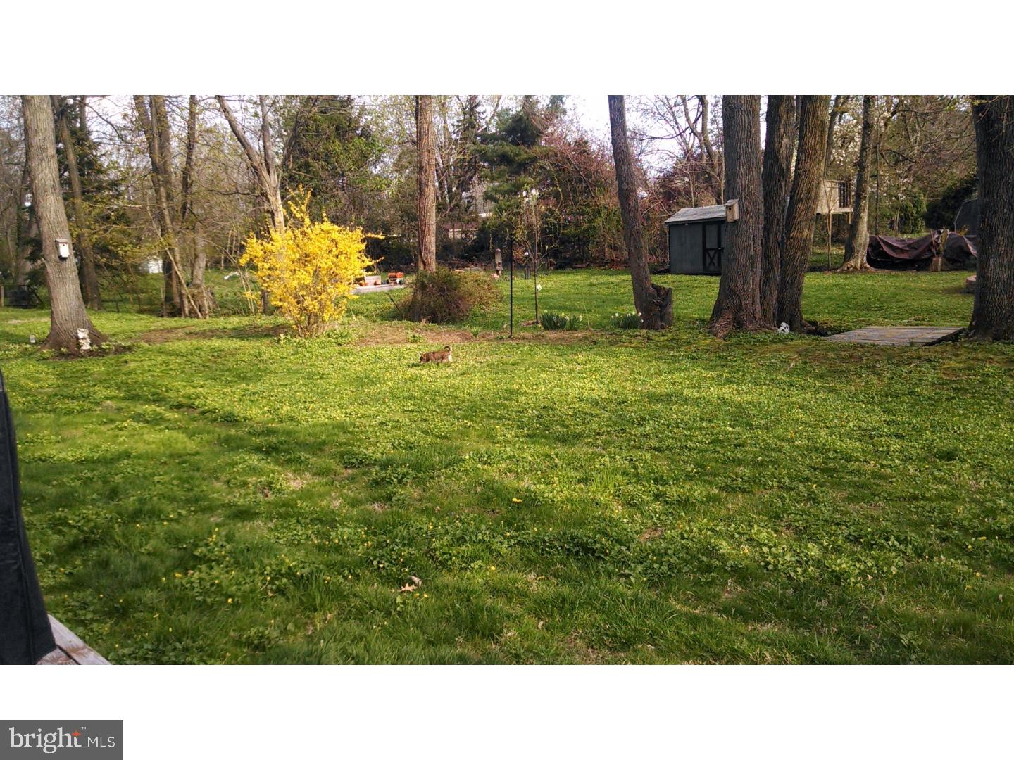 16 Lawrence Road Audubon, PA 19403 - Photo 23 of 25 Back Yard