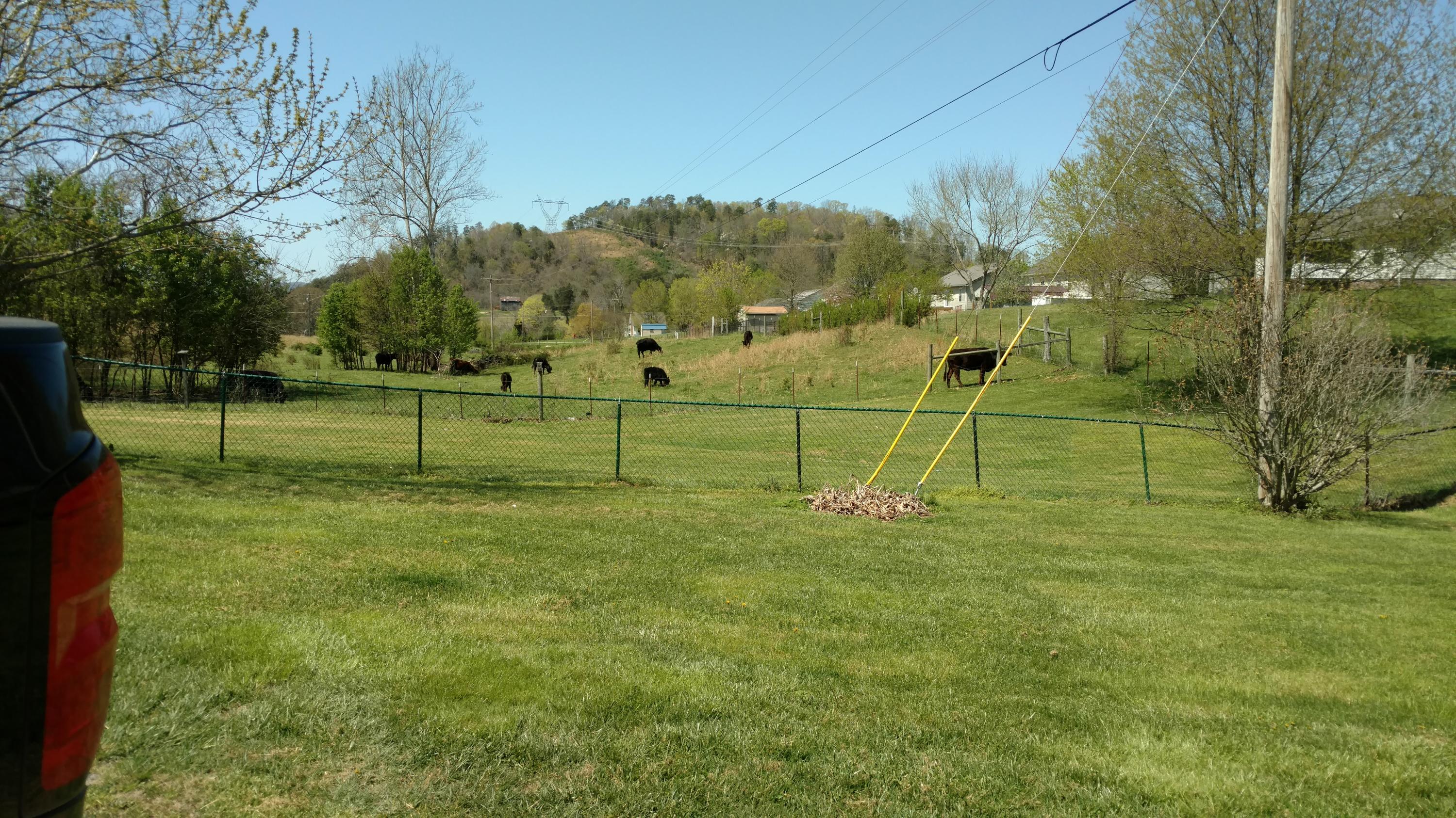 1769 Mullins Road Russellville, TN 37860 - Photo 3 of 7 IMG_20210409_140754580 (1)