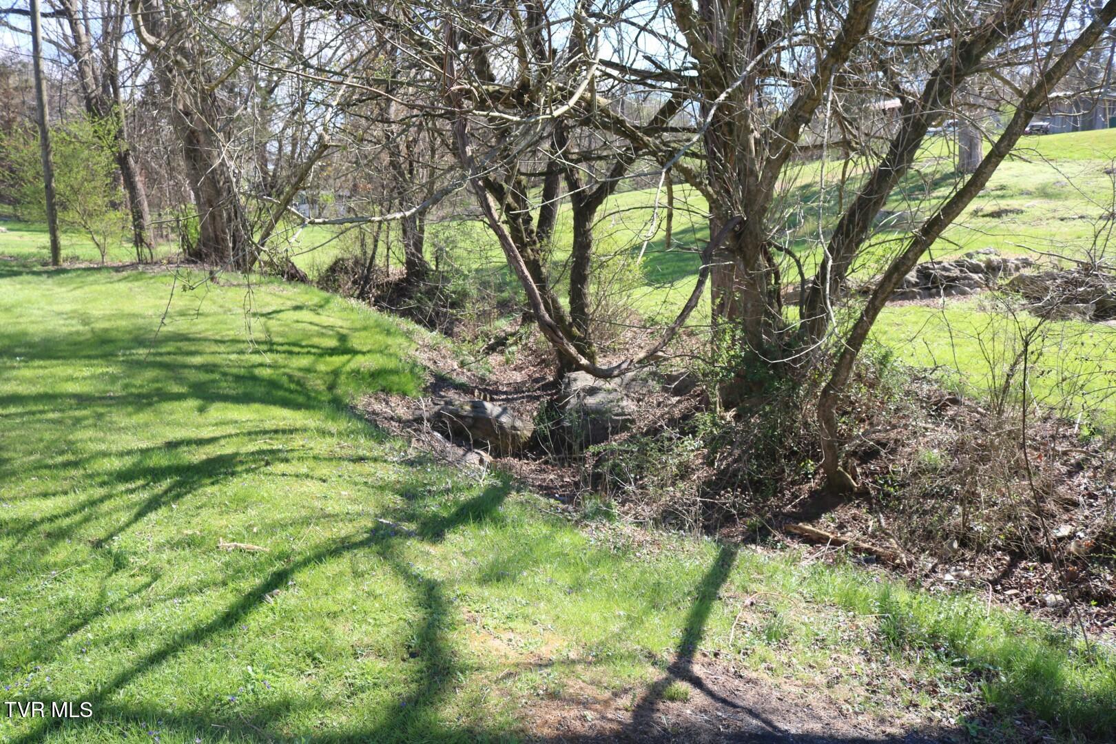 95 McDonald Road Midway, TN 37809 - Photo 19 of 19 IMG_8361