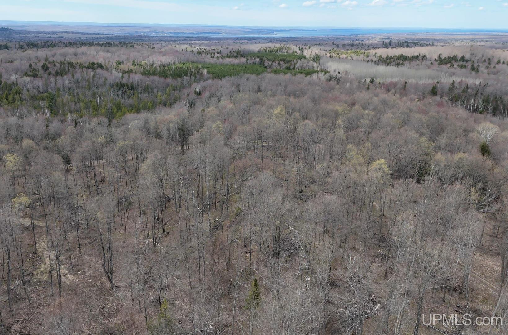 Tbdne Dog Patch Road Lanse, MI 49946 - Photo 7 of 23