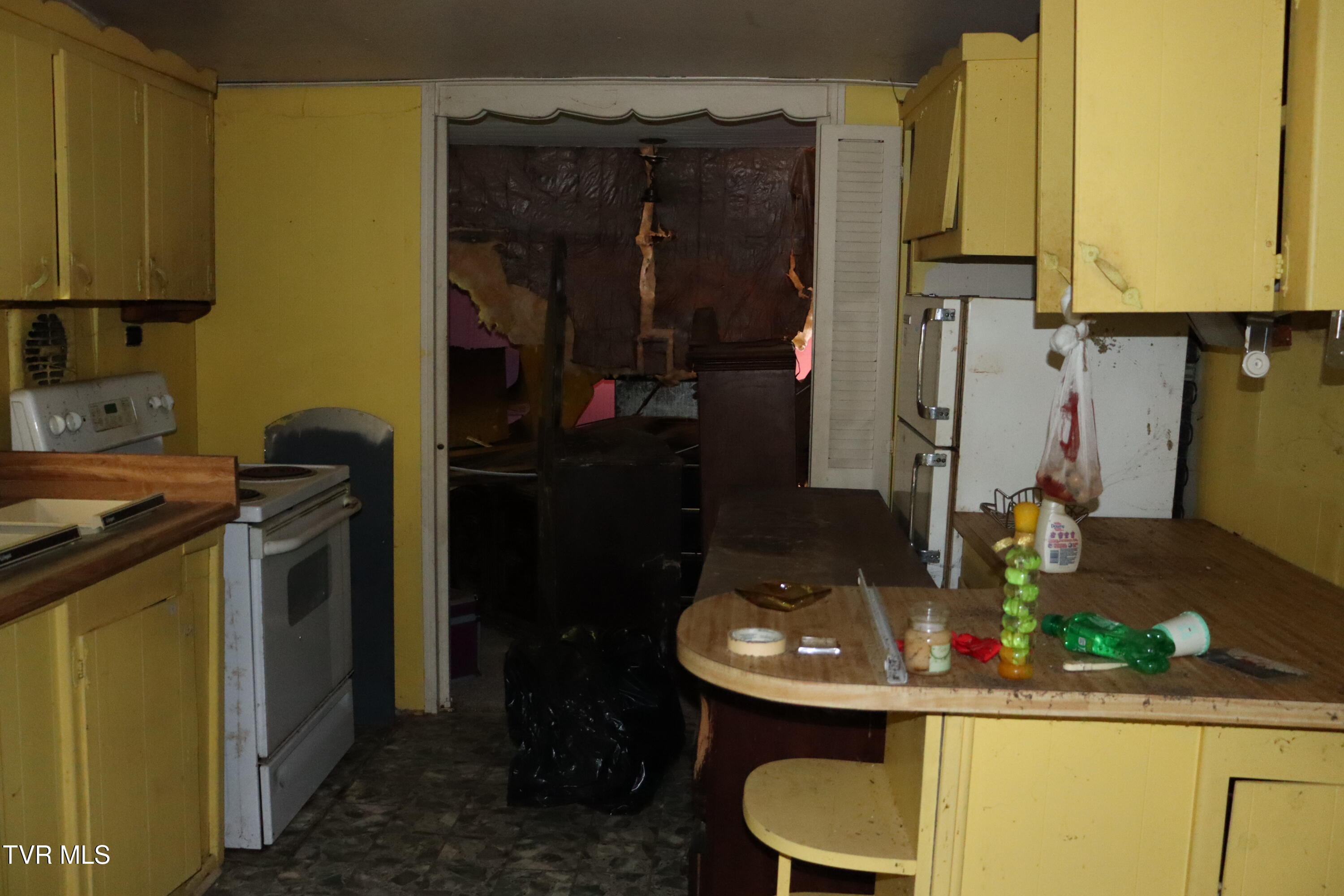 362 Rakes Ridge Road Birchleaf, VA 24220 - Photo 11 of 23 IMG_9814