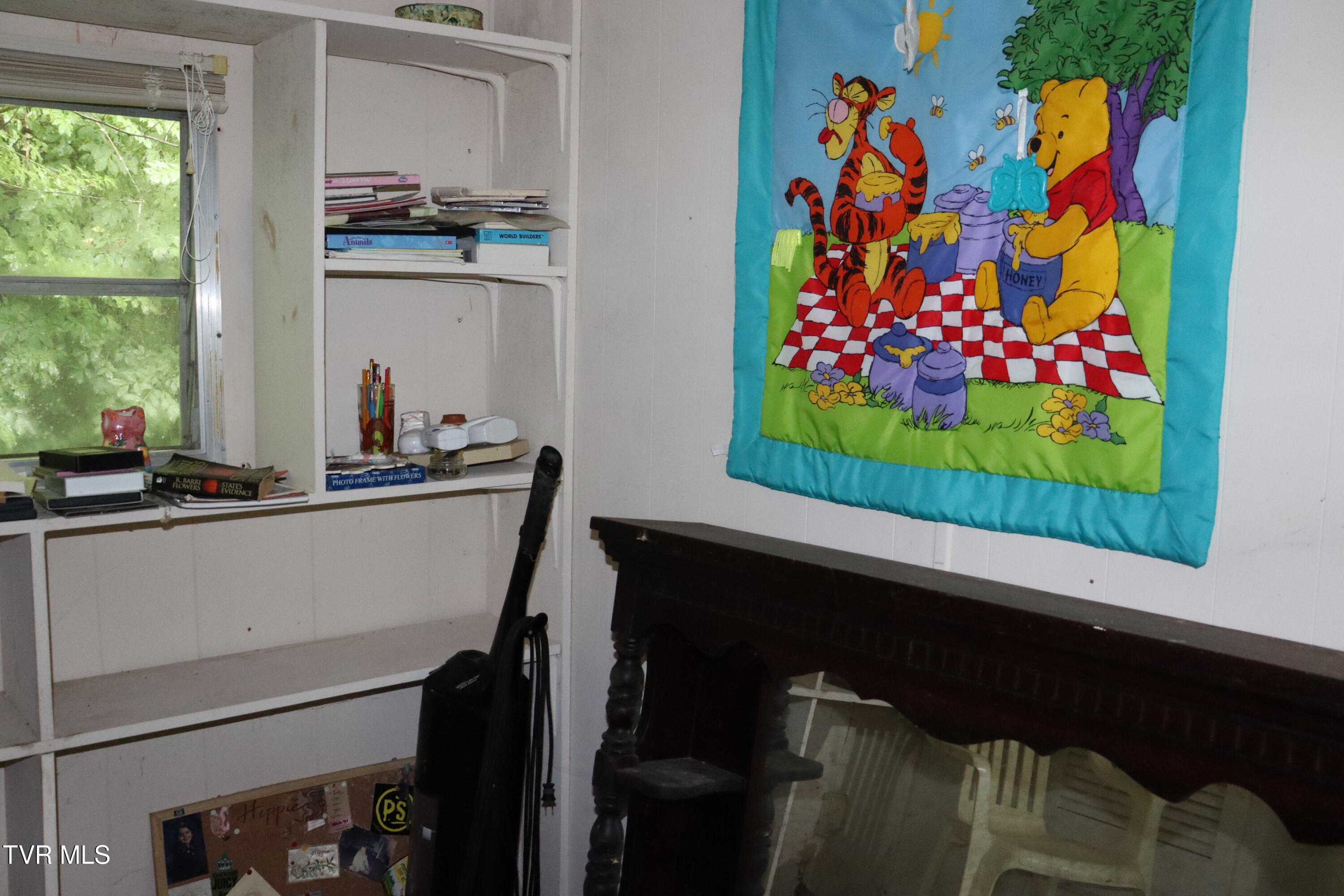 362 Rakes Ridge Road Birchleaf, VA 24220 - Photo 14 of 23 IMG_9819