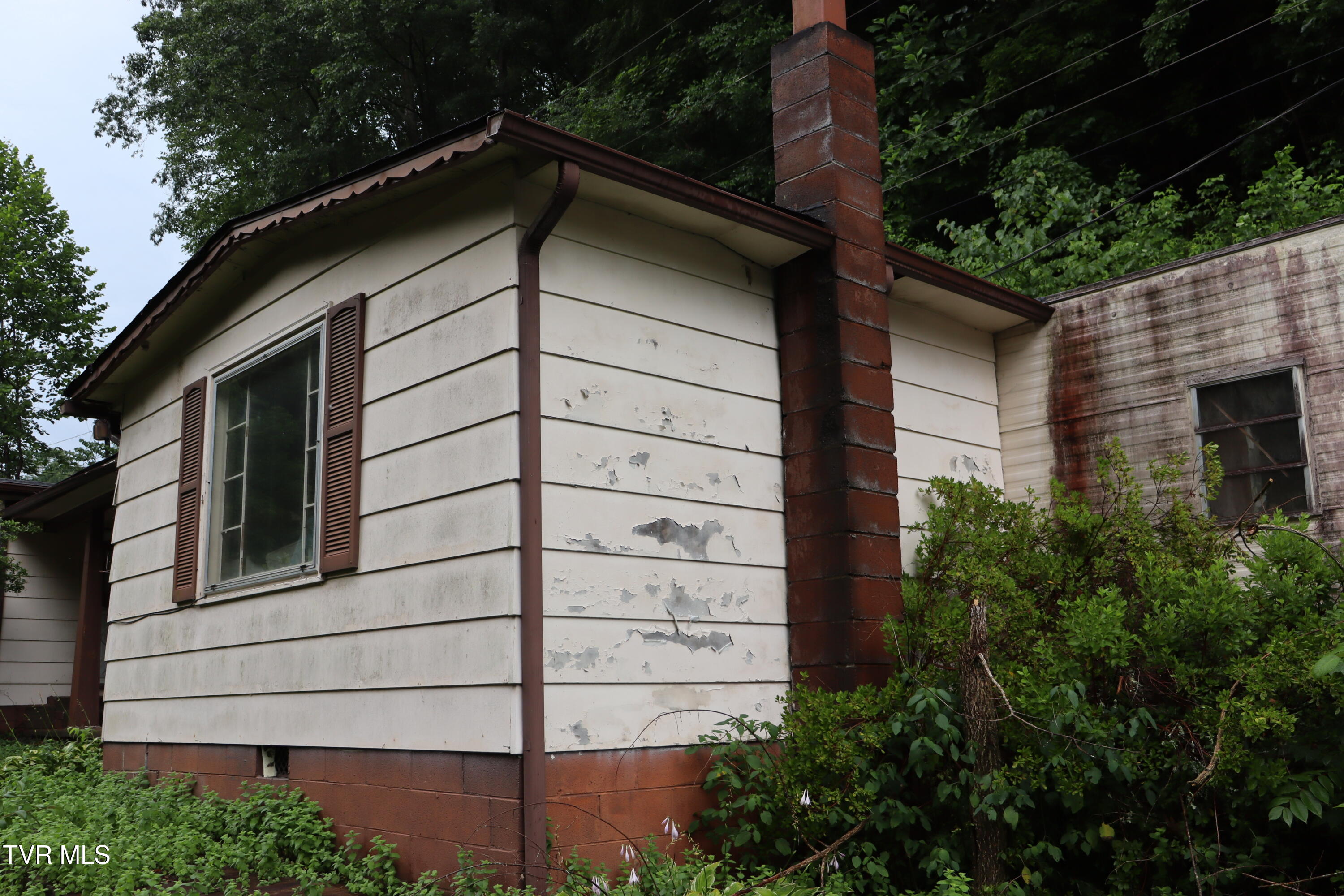 362 Rakes Ridge Road Birchleaf, VA 24220 - Photo 9 of 23 IMG_9826