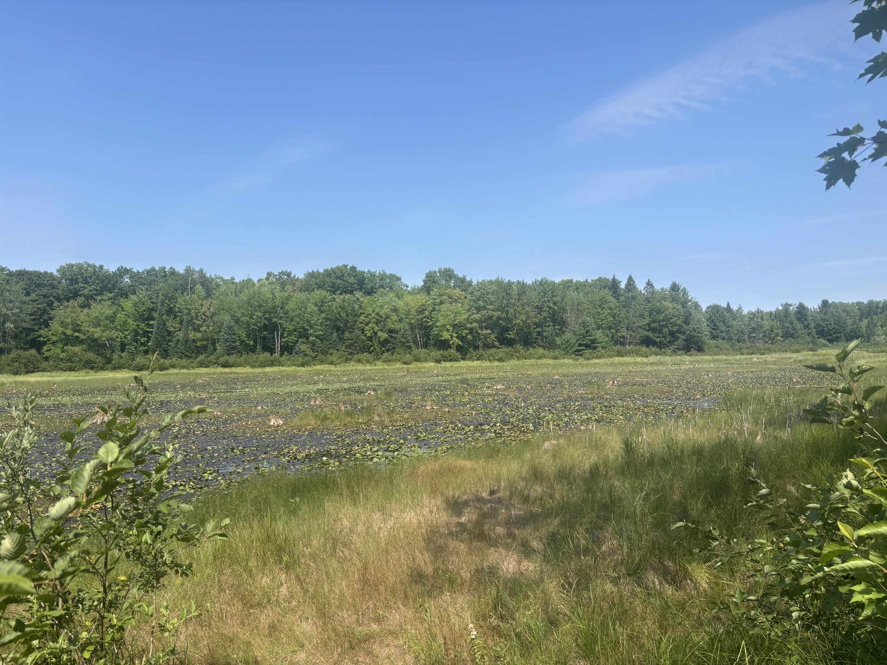 W9460 1 Mile Road Dunbar, WI 54119 - Photo 19 of 56 Gallery Image 19