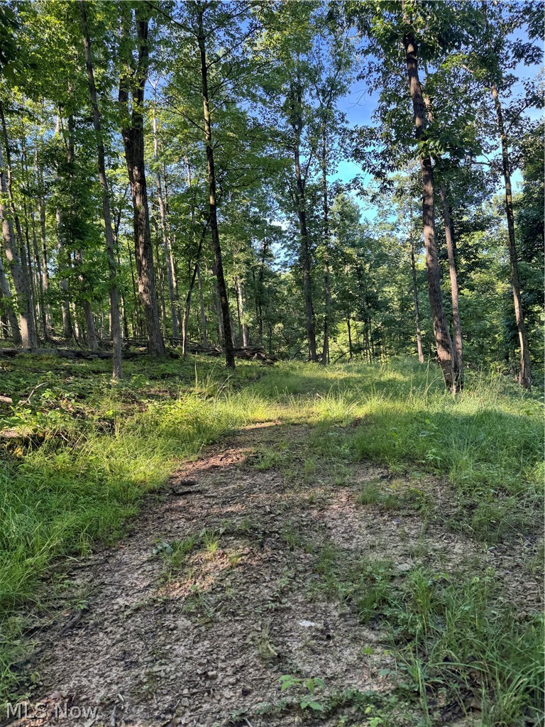 Stone Quarry Road Danville, OH 43014 - Photo 16 of 50