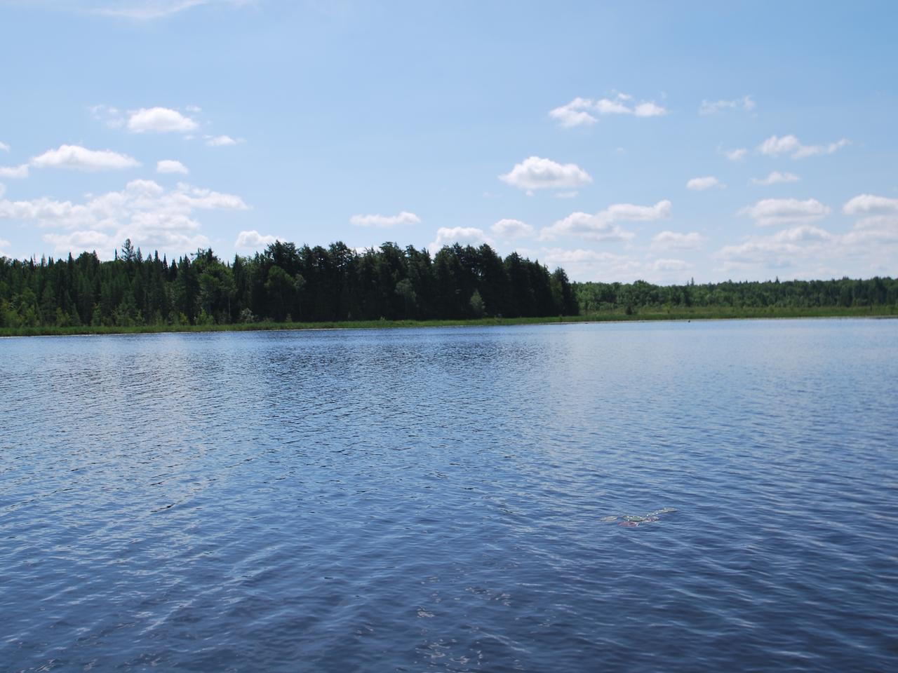 4841 Pike Bay Road, Unit 7 Eagle River, WI 54521 - Photo 18 of 20 Gallery Image 18