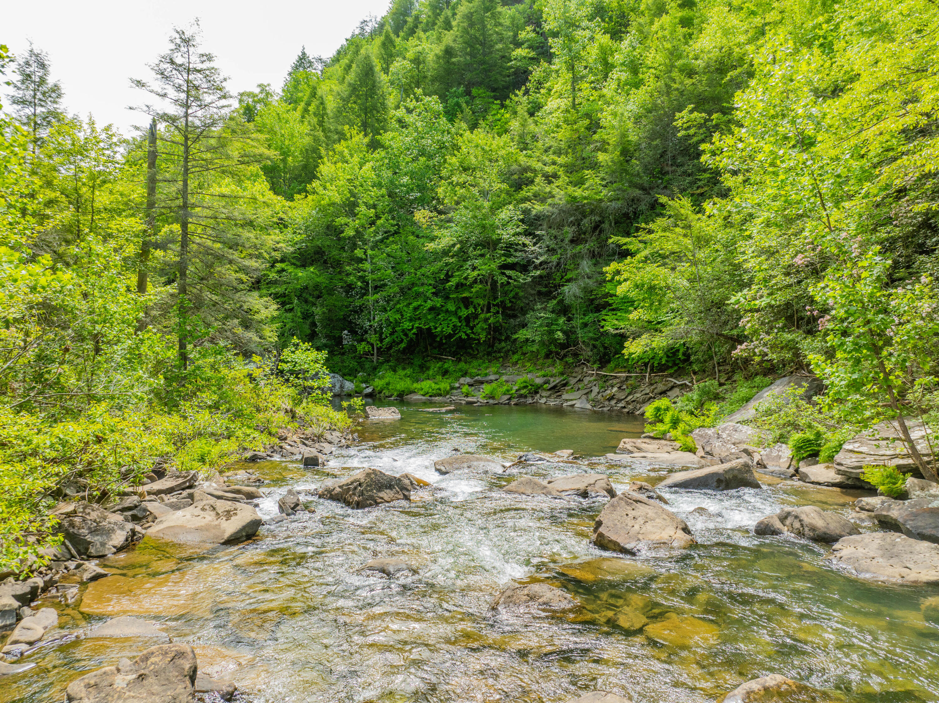 Dunlap-Echo-Point-Land-MLS-Photos-24