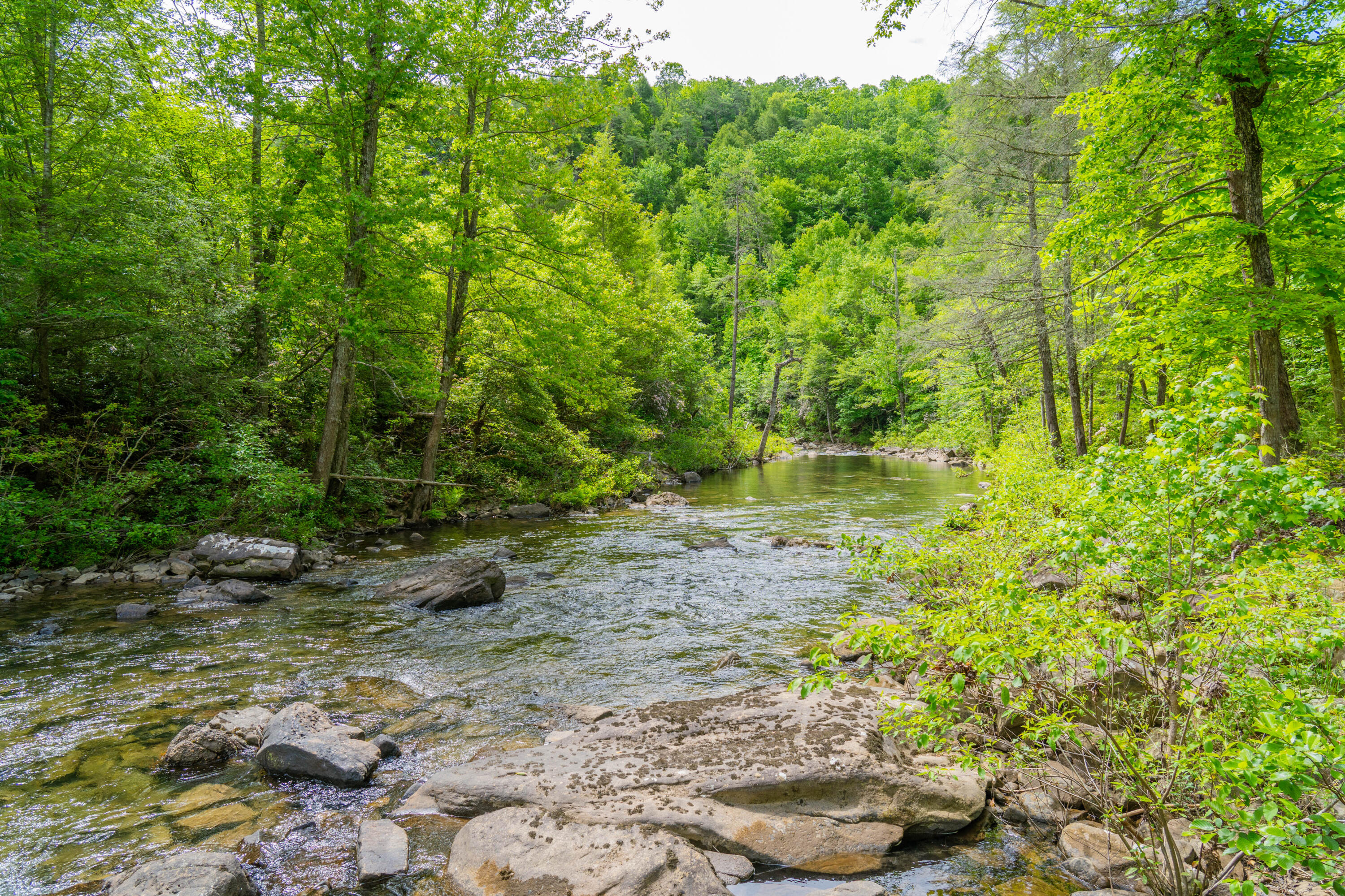 0 Echo Point Road Dunlap, TN 37327 - Photo 12 of 38 Dunlap-Echo-Point-Land-MLS-Photos-22