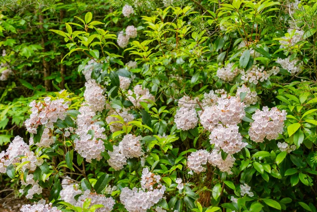 $1,099,000 | 0 Echo Point Road, Dunlap, TN 37327