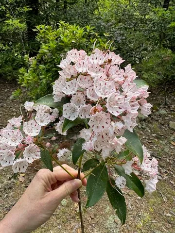 $1,099,000 | 0 Echo Point Road, Dunlap, TN 37327