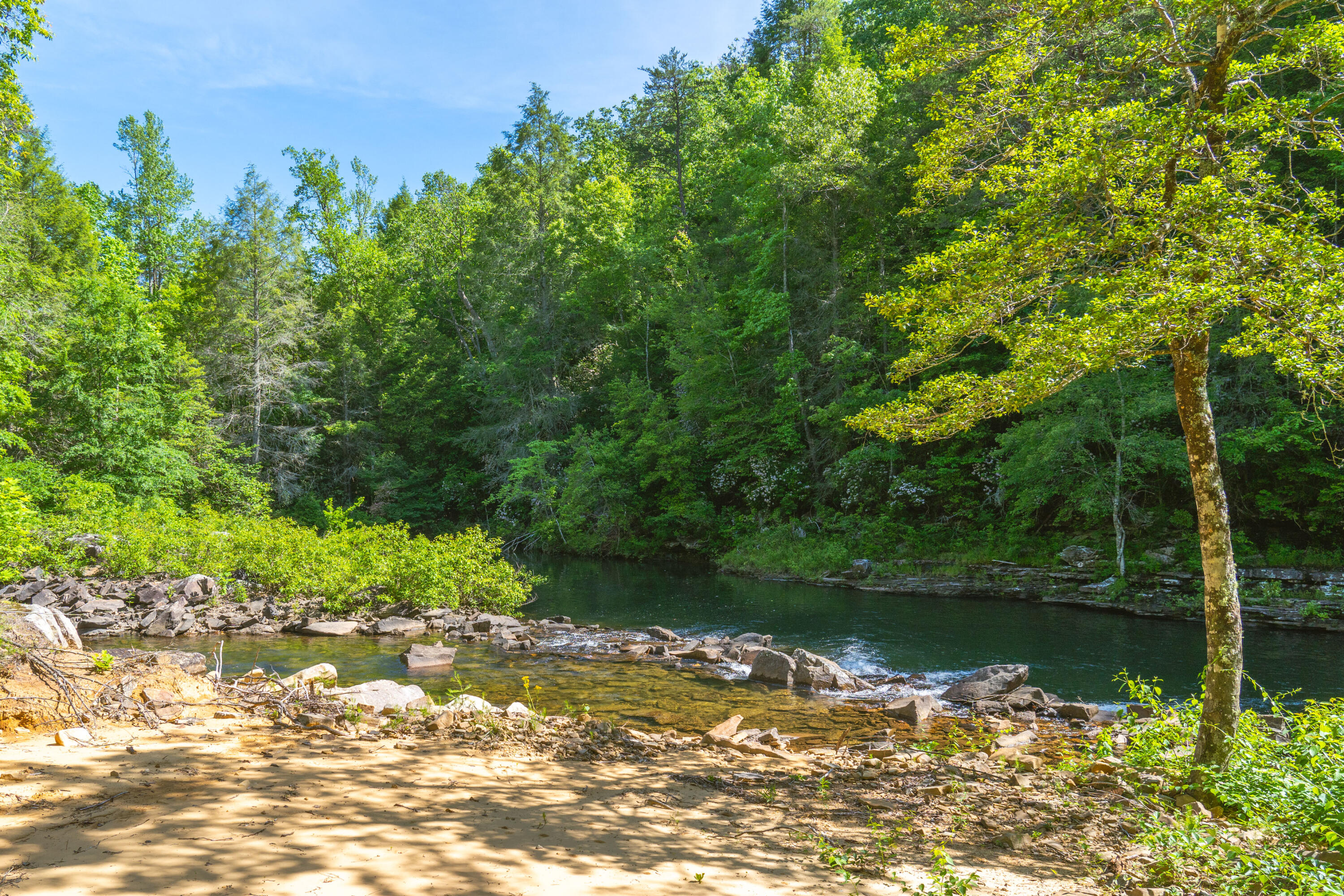 0 Echo Point Road Dunlap, TN 37327 - Photo 2 of 38 Dunlap-Echo-Point-Land-MLS-Photos-1