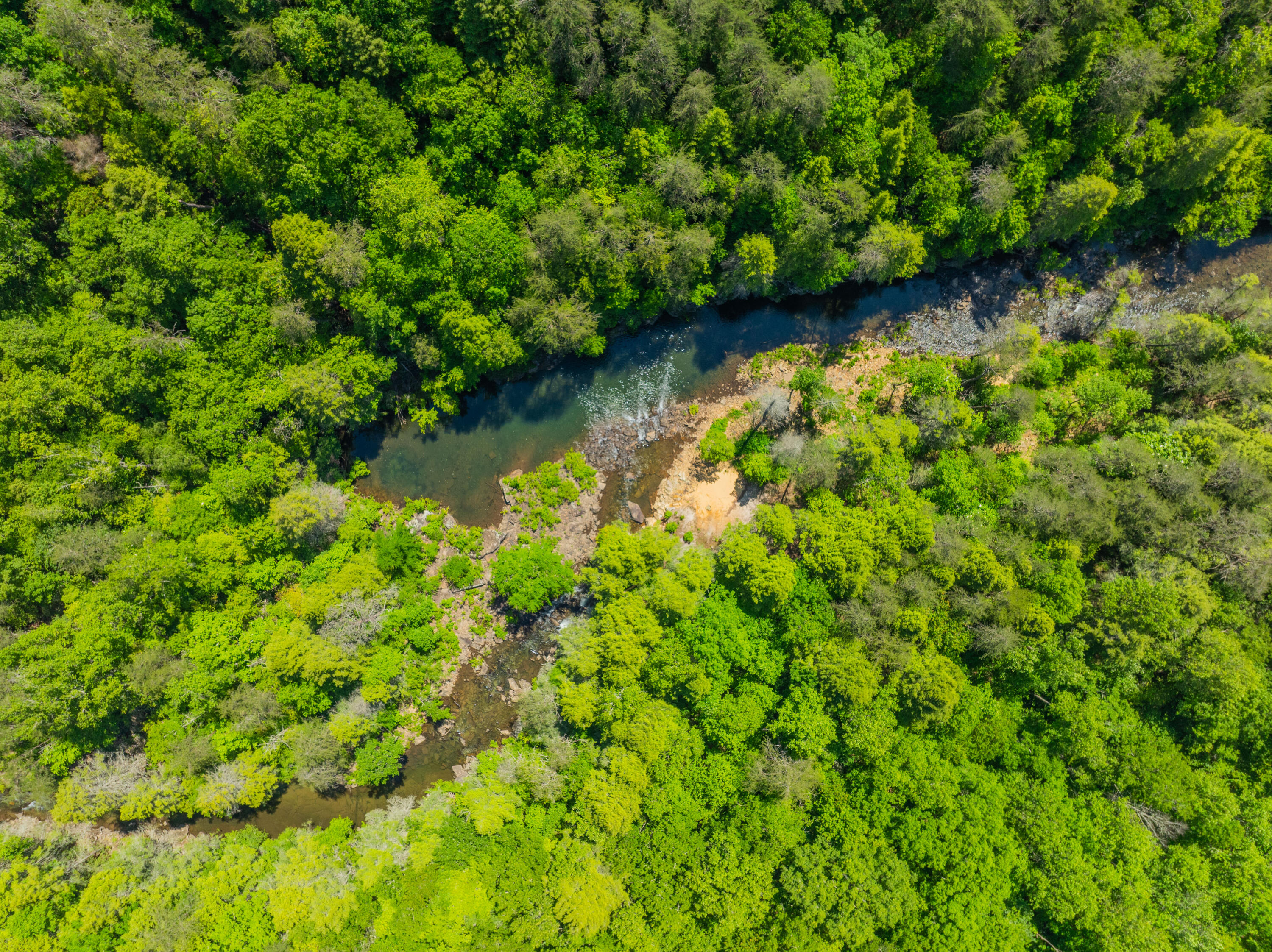 0 Echo Point Road Dunlap, TN 37327 - Photo 25 of 38 Dunlap-Echo-Point-Land-MLS-Photos-28