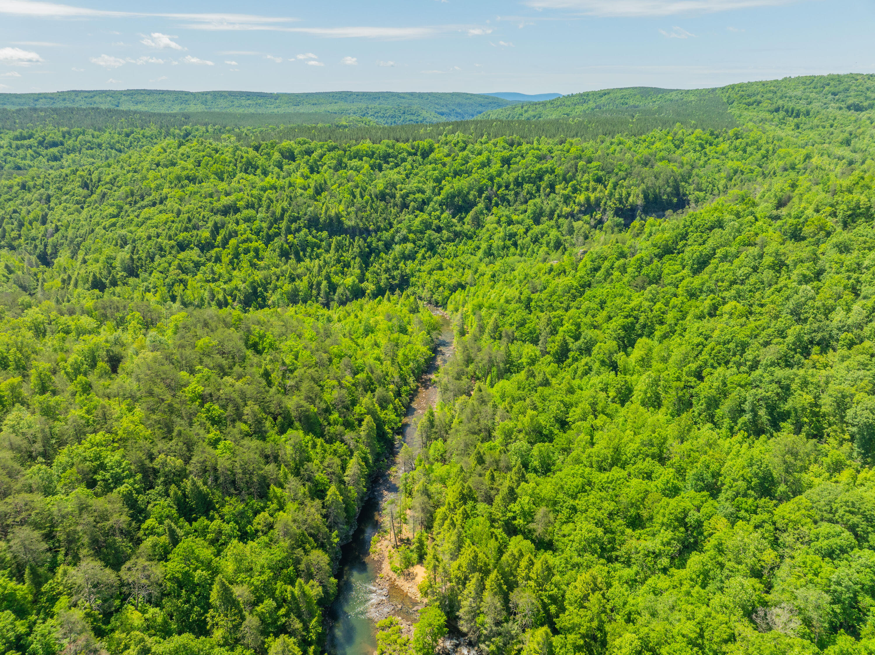 0 Echo Point Road Dunlap, TN 37327 - Photo 26 of 38 Dunlap-Echo-Point-Land-MLS-Photos-29