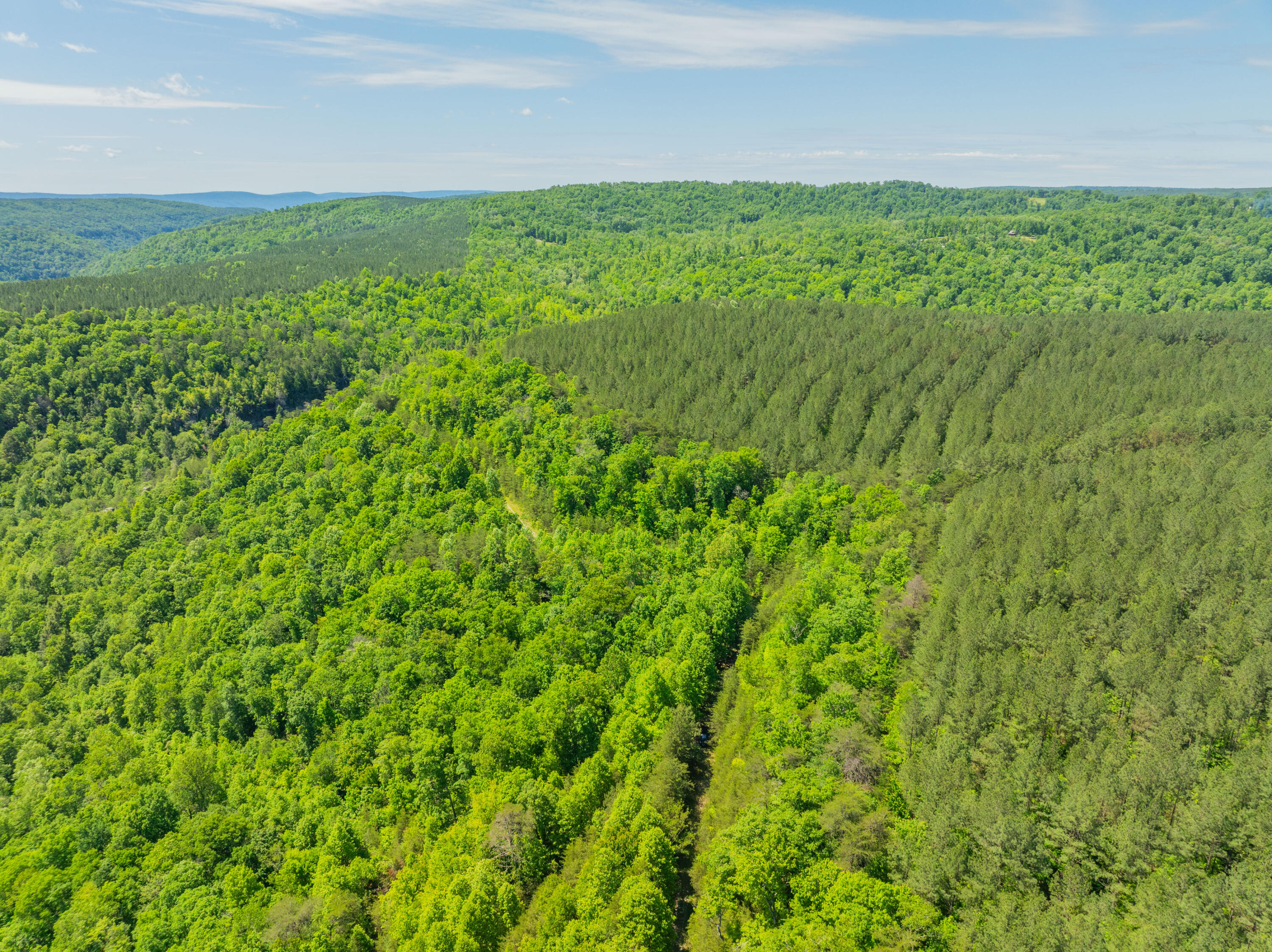 0 Echo Point Road Dunlap, TN 37327 - Photo 27 of 38 Dunlap-Echo-Point-Land-MLS-Photos-30