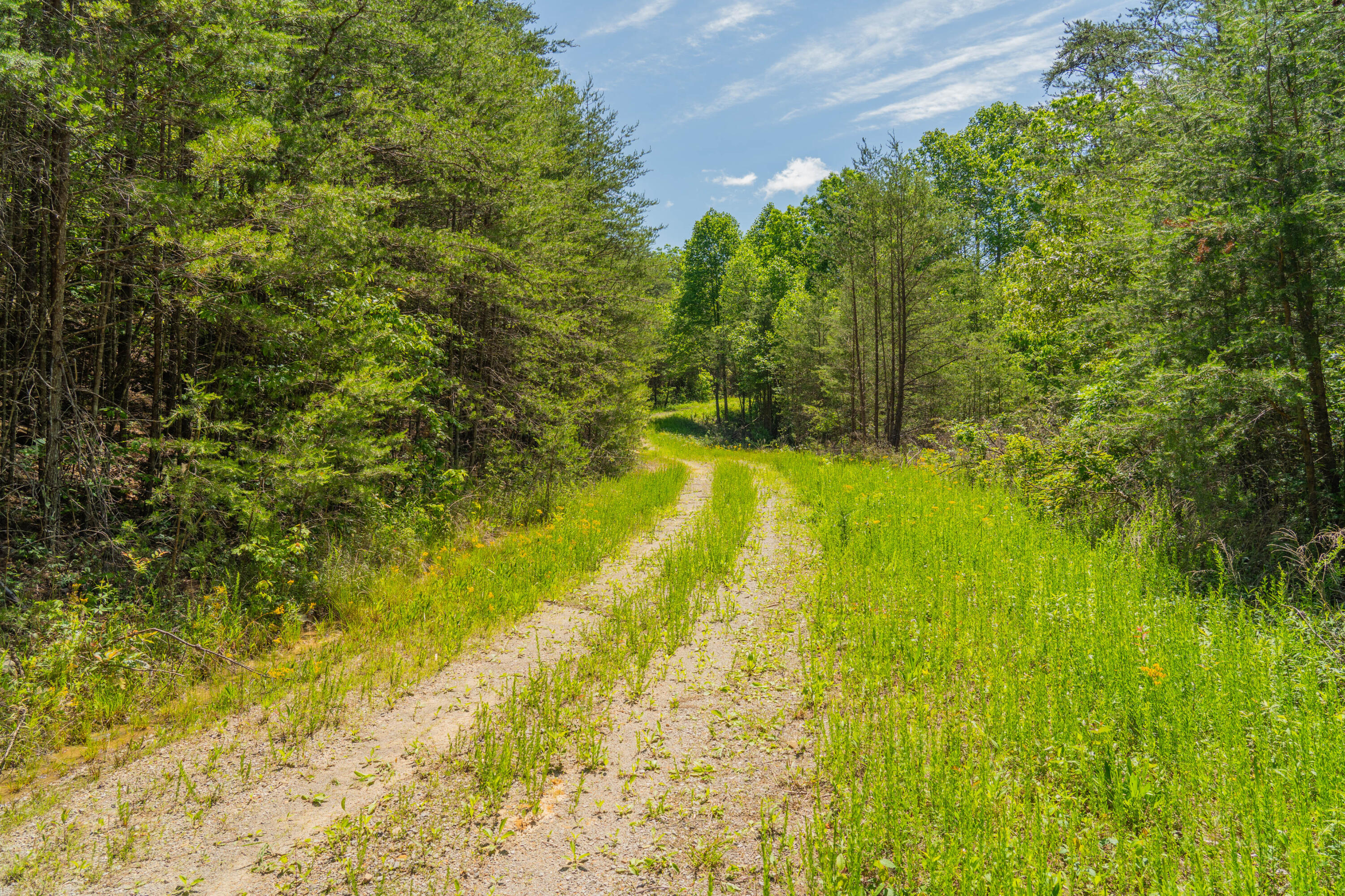 0 Echo Point Road Dunlap, TN 37327 - Photo 28 of 38 Dunlap-Echo-Point-Land-MLS-Photos-31