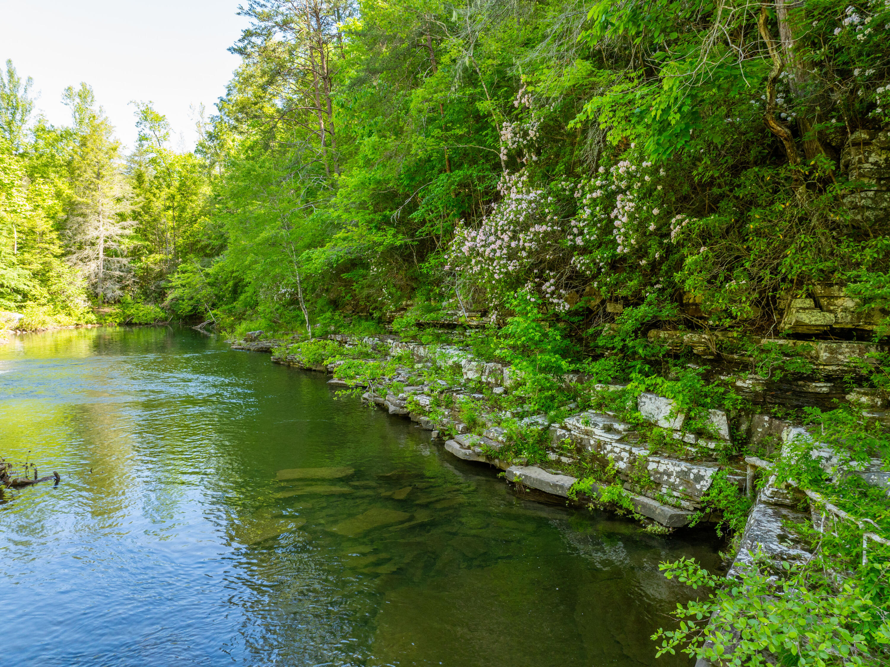 0 Echo Point Road Dunlap, TN 37327 - Photo 3 of 38 Dunlap-Echo-Point-Land-MLS-Photos-4