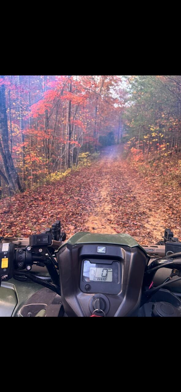 0 Echo Point Road Dunlap, TN 37327 - Photo 31 of 38 image0