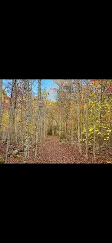 $1,099,000 | 0 Echo Point Road, Dunlap, TN 37327