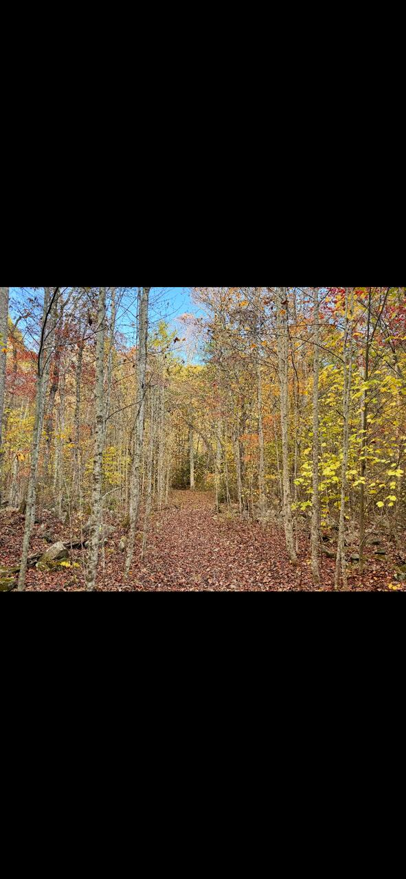 0 Echo Point Road Dunlap, TN 37327 - Photo 32 of 38 image2