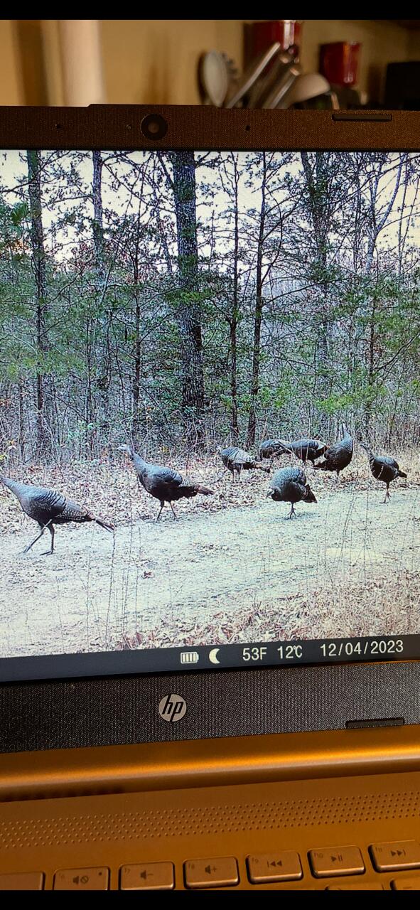 0 Echo Point Road Dunlap, TN 37327 - Photo 34 of 38 image4