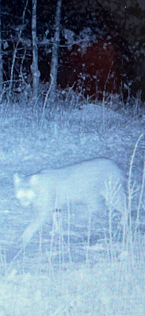 0 Echo Point Road Dunlap, TN 37327 - Photo 35 of 38 image5