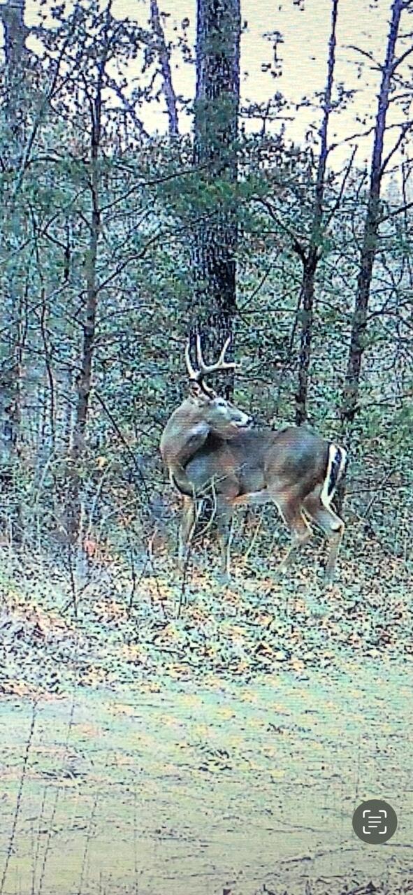 0 Echo Point Road Dunlap, TN 37327 - Photo 38 of 38 image8