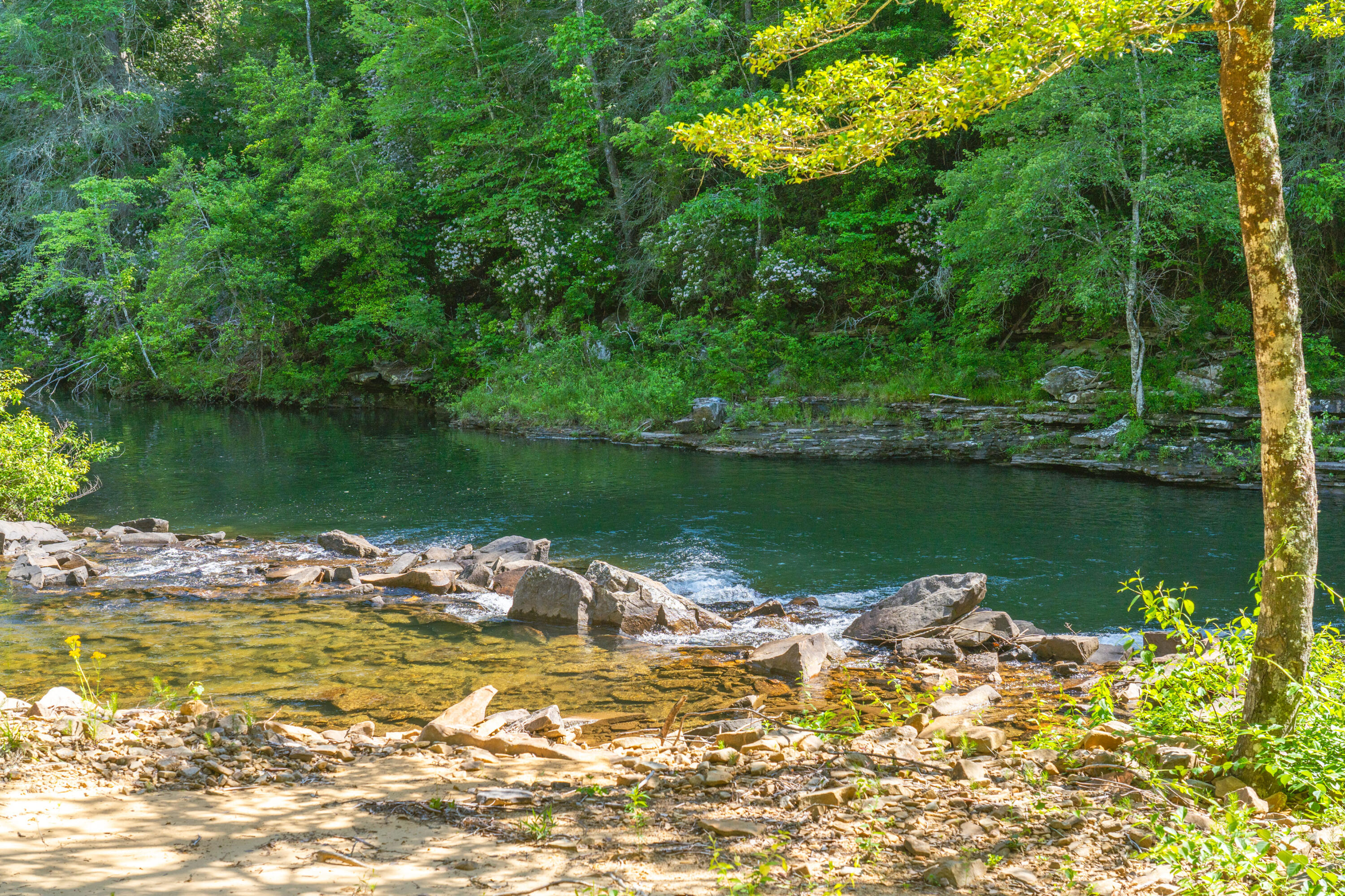 0 Echo Point Road Dunlap, TN 37327 - Photo 4 of 38 Dunlap-Echo-Point-Land-MLS-Photos-2