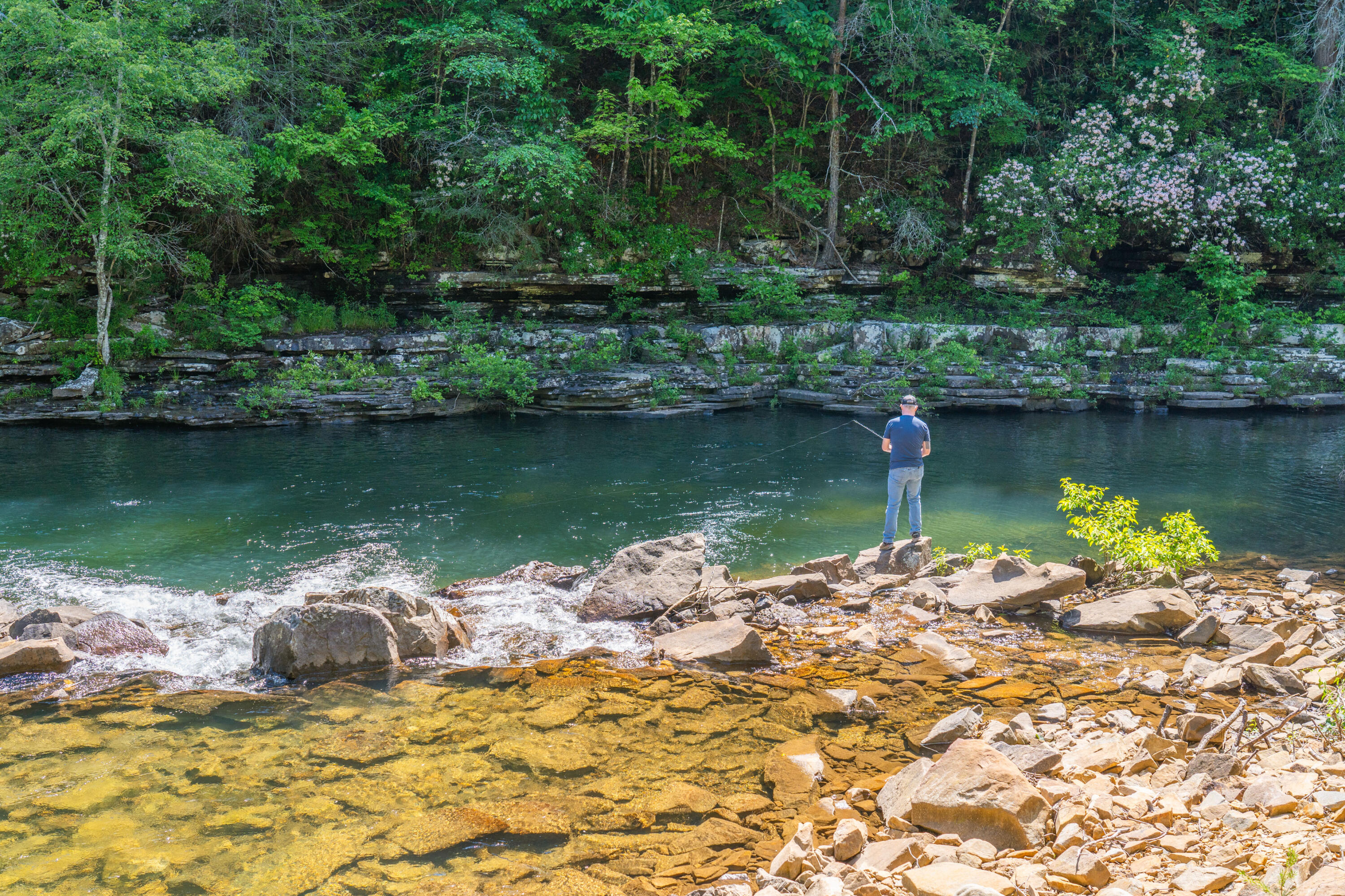 0 Echo Point Road Dunlap, TN 37327 - Photo 5 of 38 Dunlap-Echo-Point-Land-MLS-Photos-8