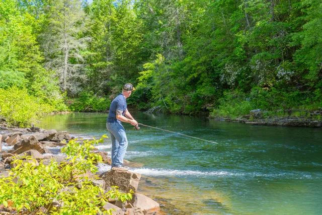 $1,099,000 | 0 Echo Point Road, Dunlap, TN 37327