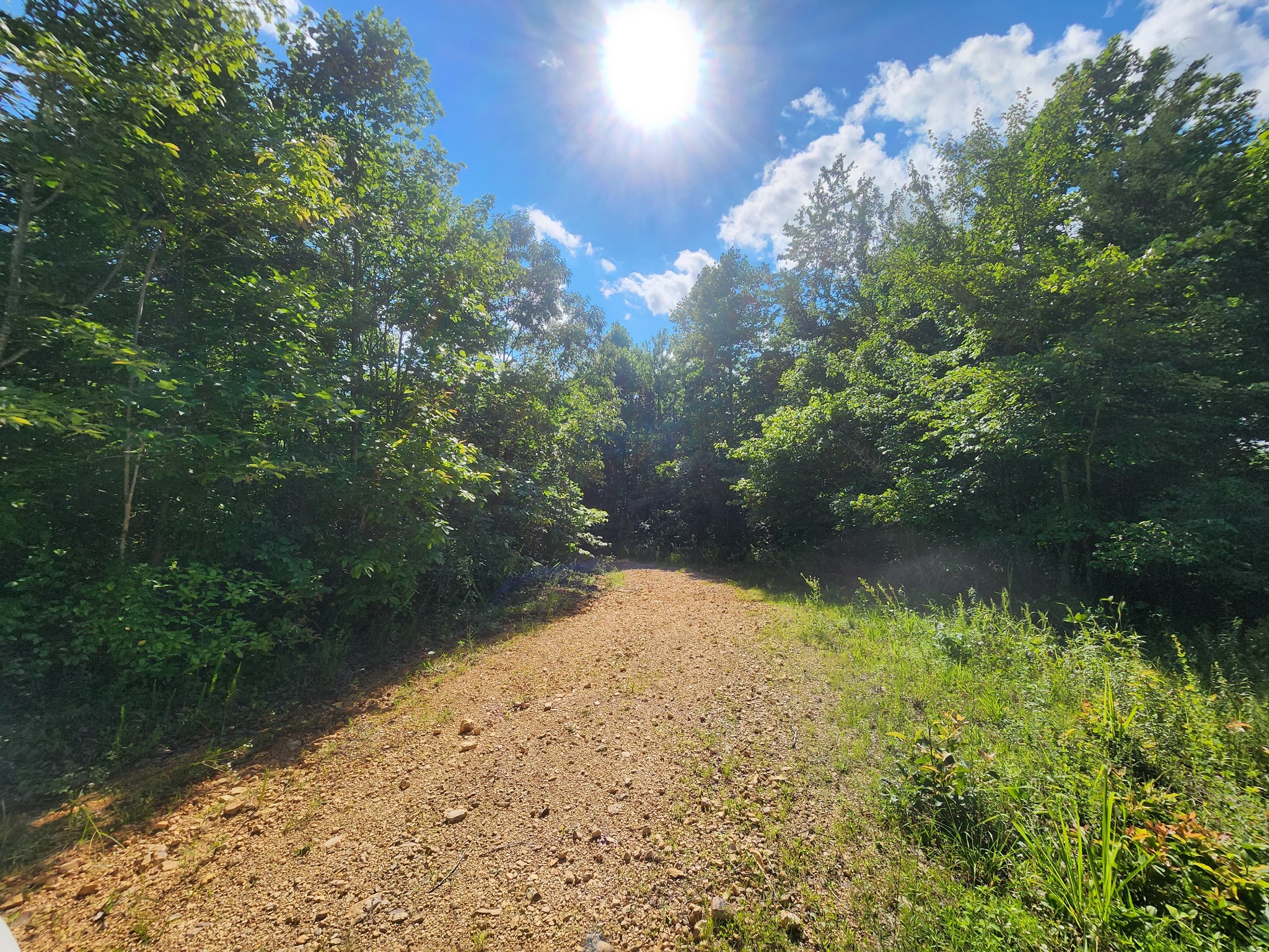 0 Sinking Creek Road Linden, TN 37096 - Photo 8 of 23