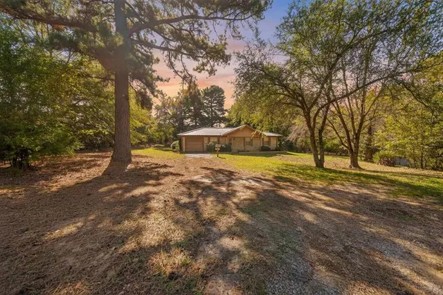 a view of a yard with trees