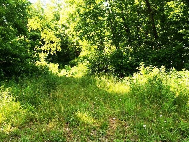 0 Francis Road Southeast, Unit LOT #2 Newark, OH 43056 - Photo 3 of 8