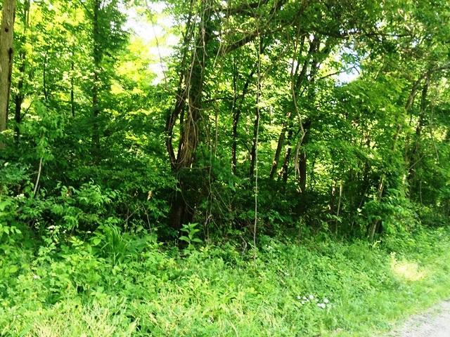 0 Francis Road Southeast, Unit LOT #2 Newark, OH 43056 - Photo 4 of 8