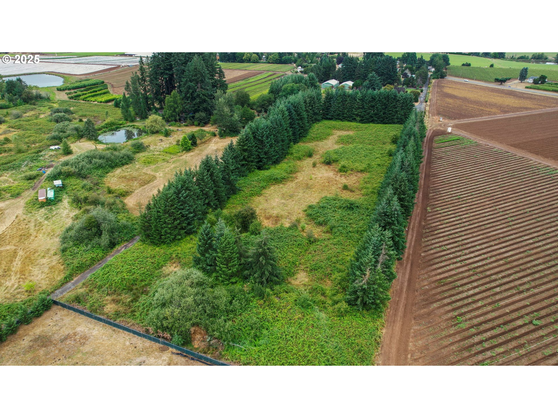 33685 Southeast Kelso Road Boring, OR 97009 - Photo 32 of 32 a open area with lots of green trees