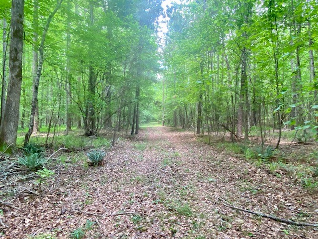 0 Pete Johnson Road Tignall, GA 30668 - Photo 13 of 43
