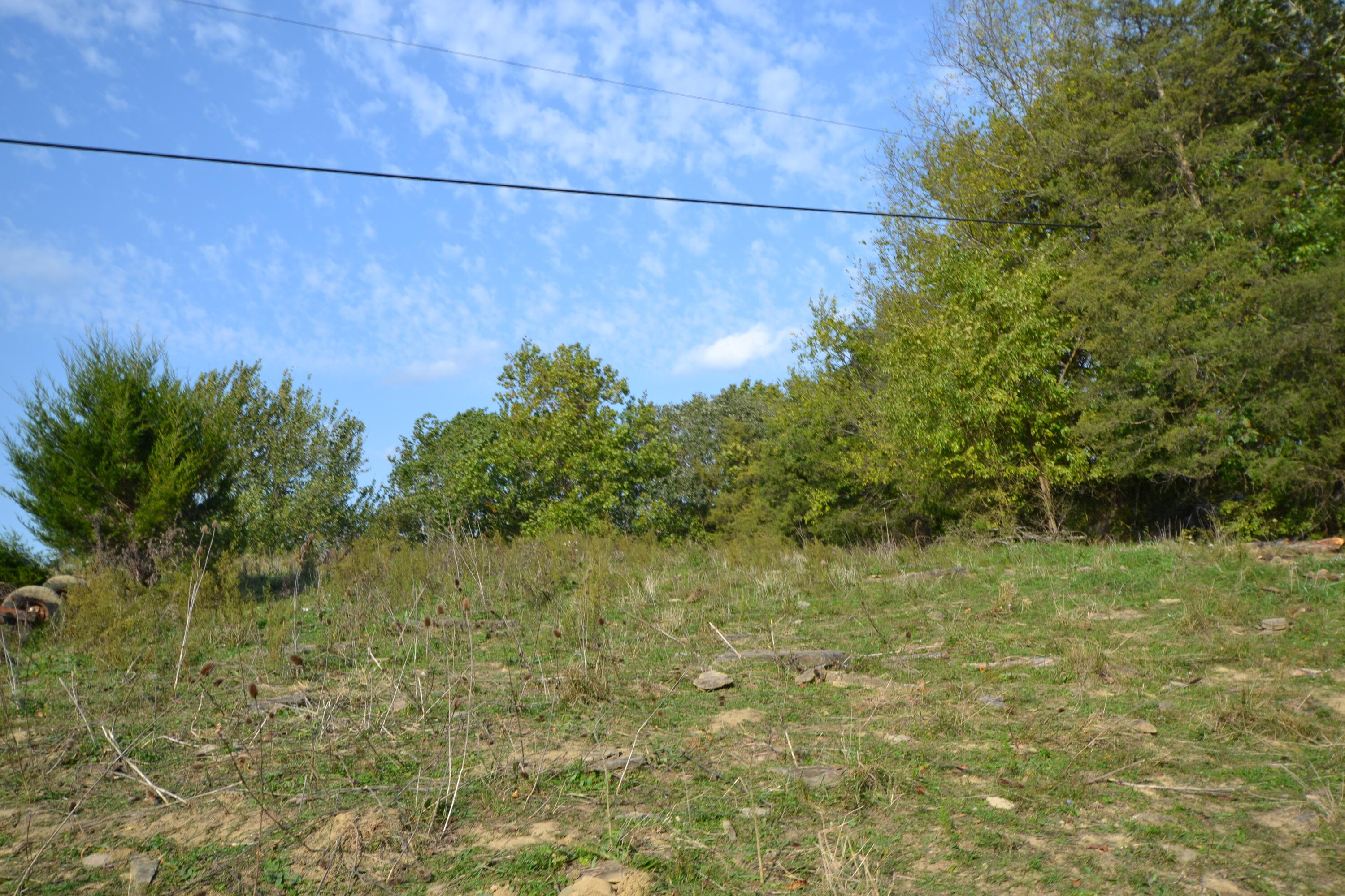 772 Fallis Run Road Harrodsburg, KY 40330 - Photo 21 of 45 DSC_0006