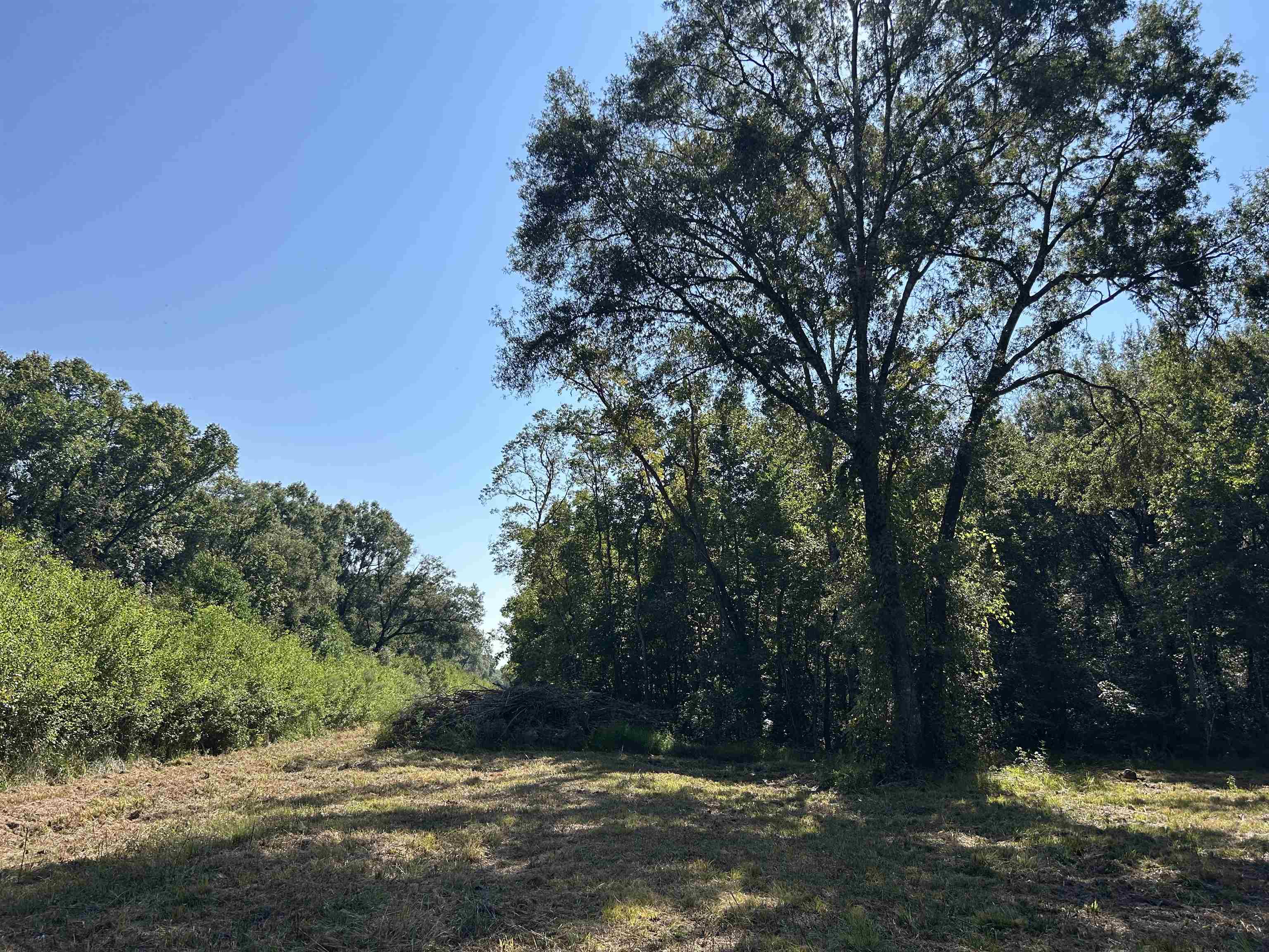 0 McGuire Road Liberty, TX 77575 - Photo 6 of 40